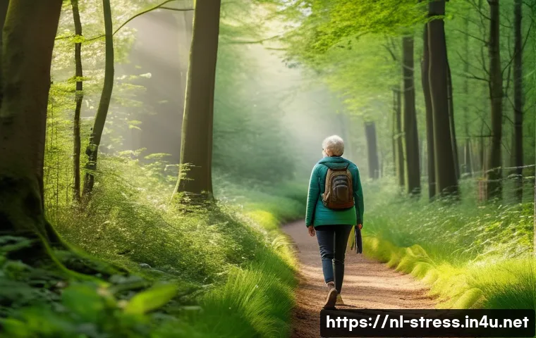 스트레스 해소를 위한 가벼운 산책 - A serene forest trail in the Netherlands during early morning light, lush green trees with sunlight ...