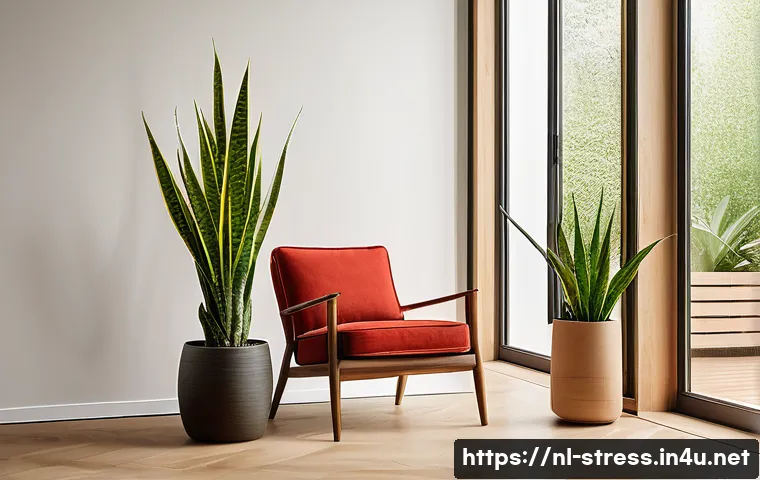 스트레스 해소법  실내 식물 기르기 - A cozy modern Dutch living room interior featuring a variety of low-maintenance houseplants: a tall ...