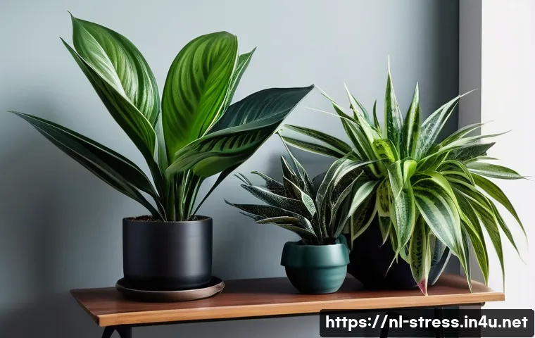 스트레스 해소법  실내 식물 기르기 관련 이미지 2